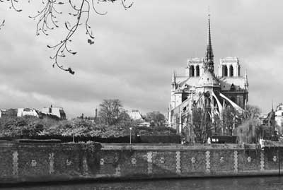 notre-dame